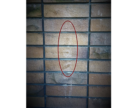 日本福音ルーテル教会宣教百年記念東京会堂