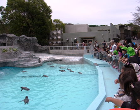 静岡市立　日本平和動物園